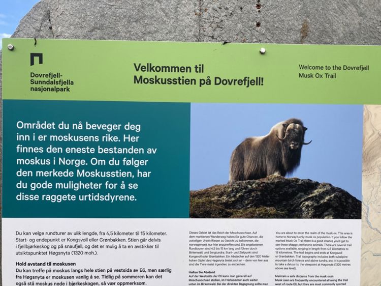 Tekst