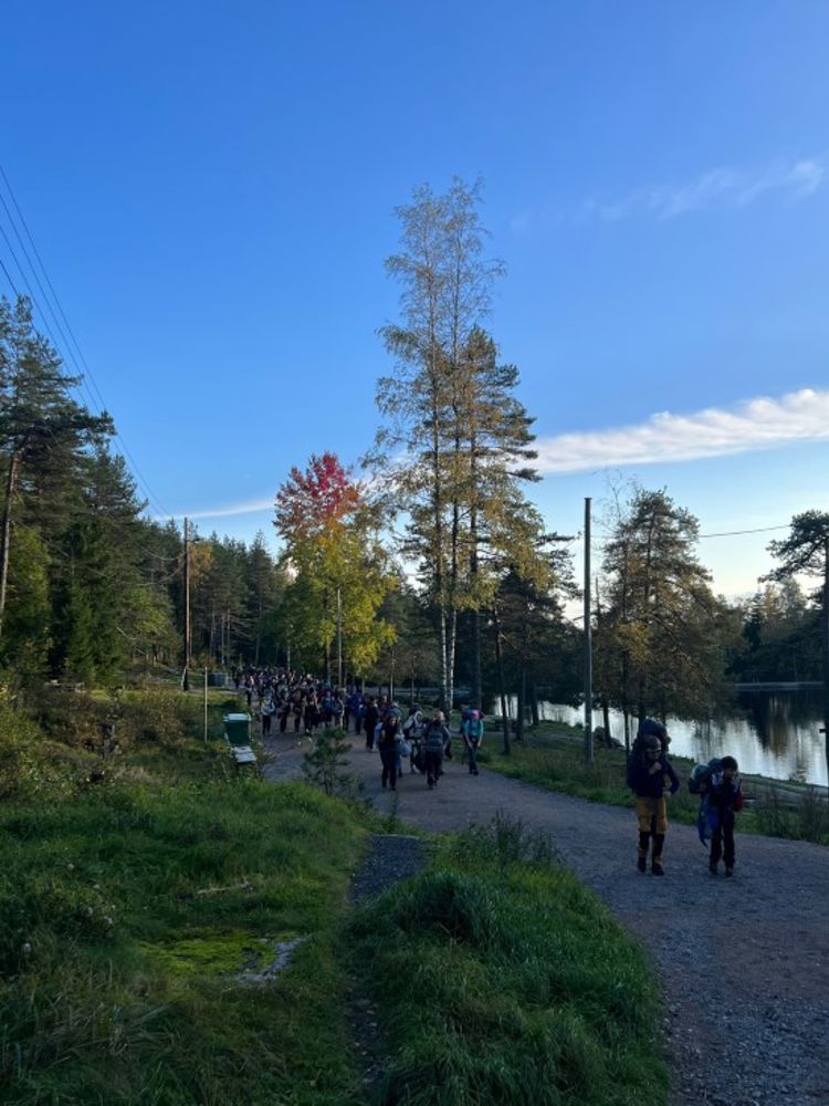 skog