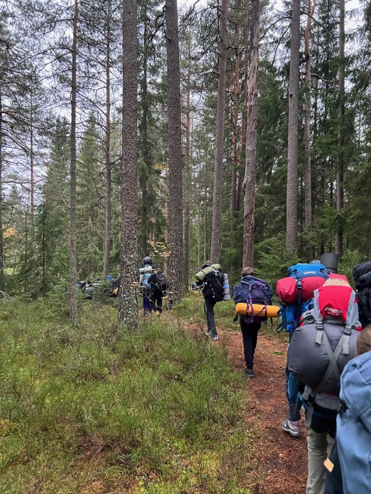 skog
