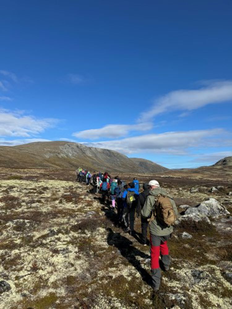 en gruppe mennesker som står på en klippe