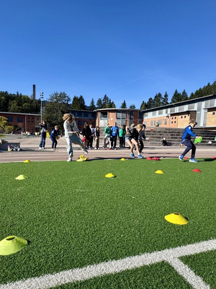 En gruppe mennesker som spiller frisbee på et jorde